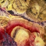 Ric Ergenbright Photograph