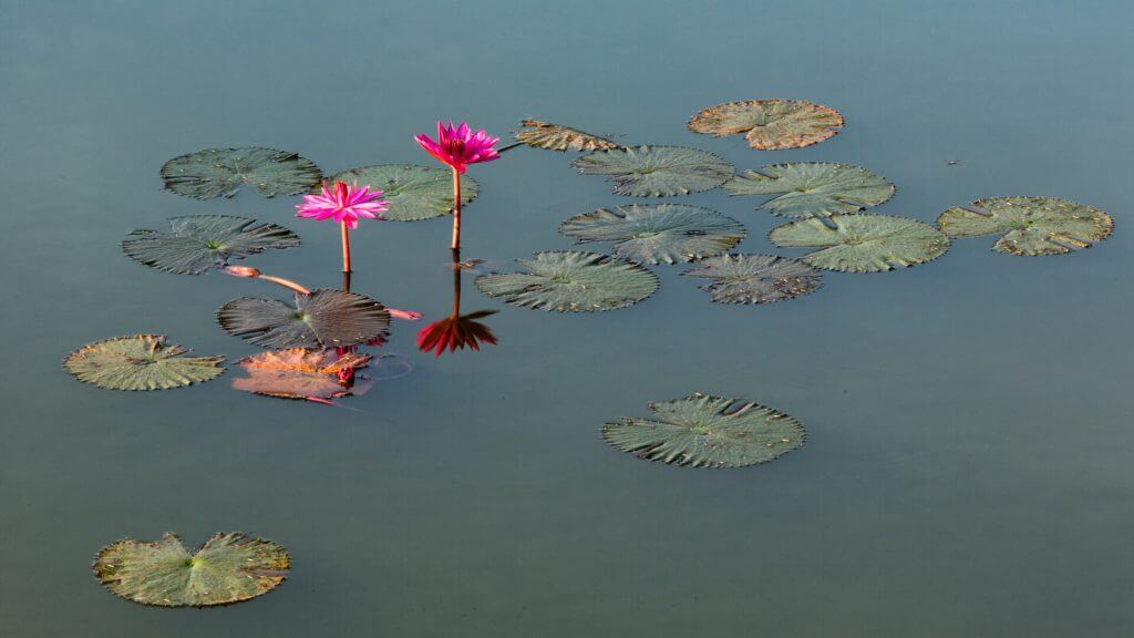 Cambodia